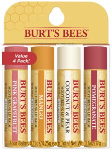 Best Travel Accessory Burt's Bees Lip Balm